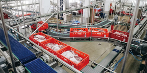 Vollautomatische Produktionslinie zur Verarbeitung und Verwiegung von Schweinefleisch
